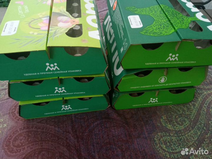 Лотки для яиц пустые контейнеры для яиц