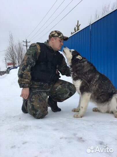 Разнорабочий подсобный рабочий работник склада