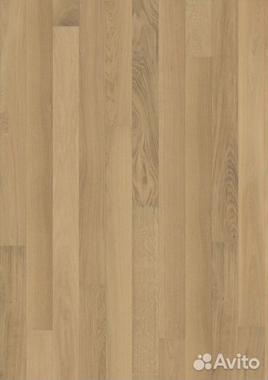 Паркетная доска