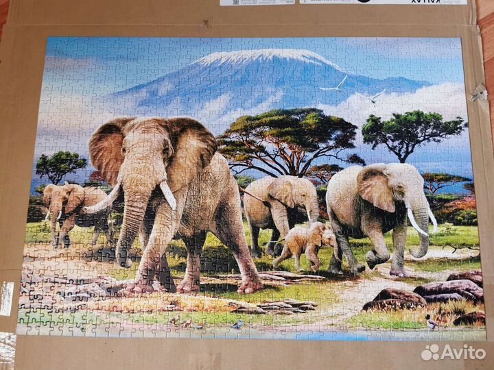 Пазлы 1000 деталей