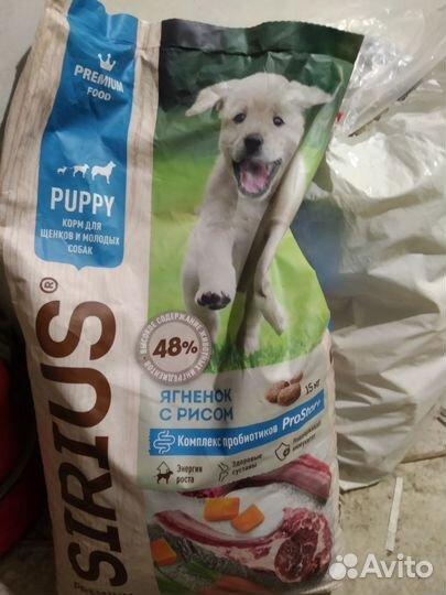 Корм для собак