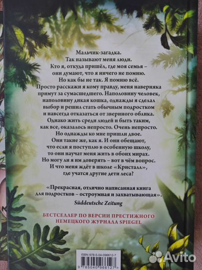 Детские книги дети леса