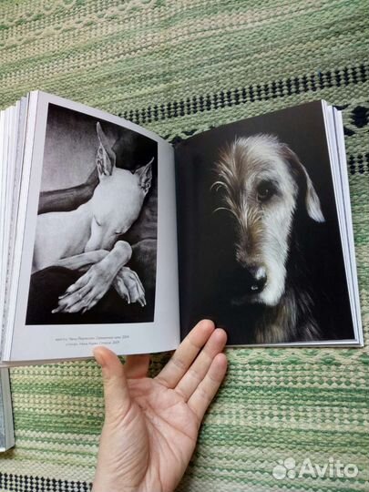 Такие разные собаки в произведениях искусства