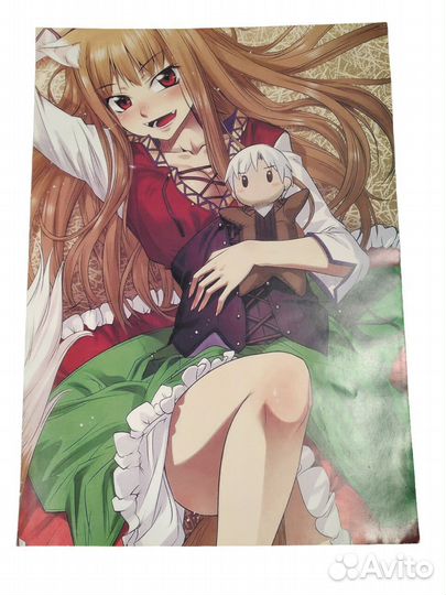 Постер Холо