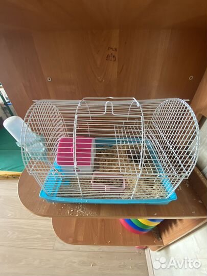 Клетка с хомяками