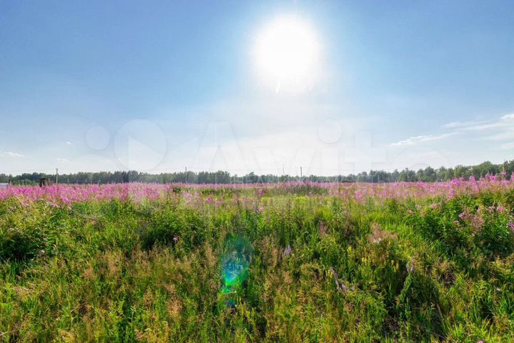 Участок 35 сот. (СНТ, ДНП)