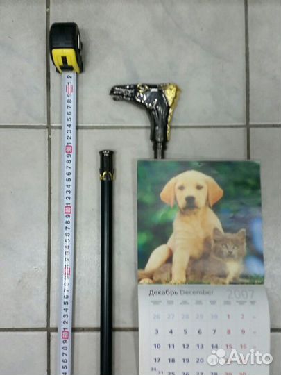 Трость с секретом