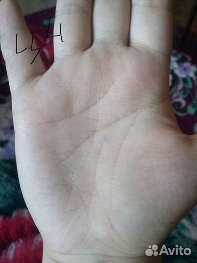 Хиромантия, чтение, обучение