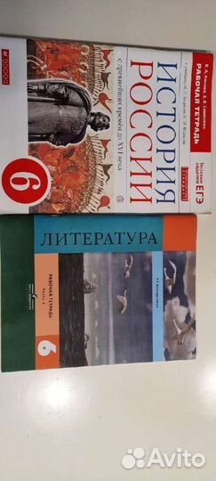 Рабочие тетради 6 класс