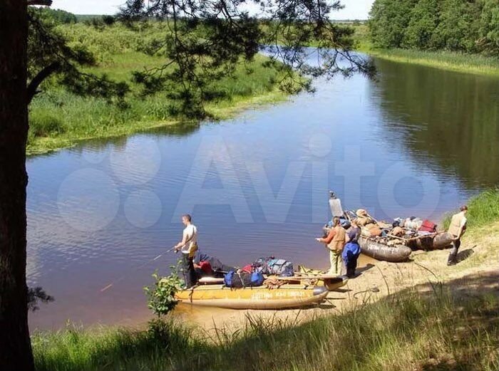 Участок 20 сот. (СНТ, ДНП)