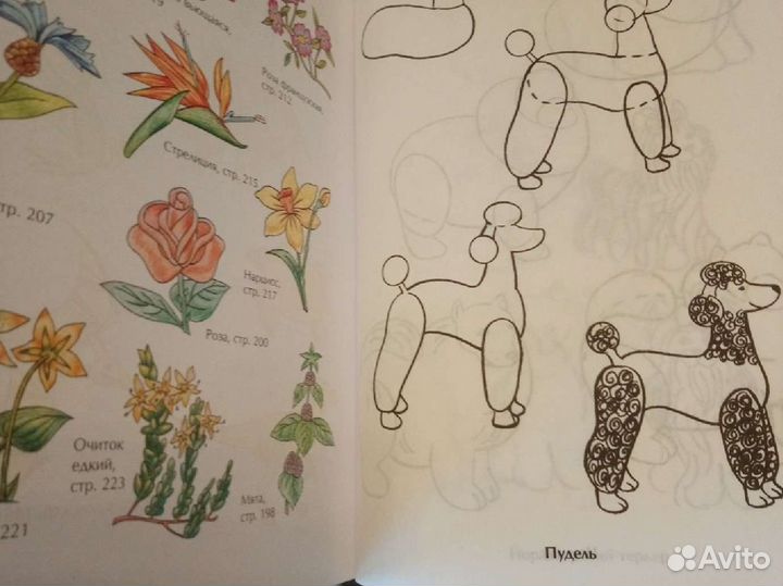 Книга для обучения рисованию