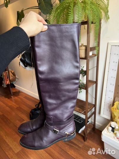 Сапоги женские натуральная кожа осень 38 размер