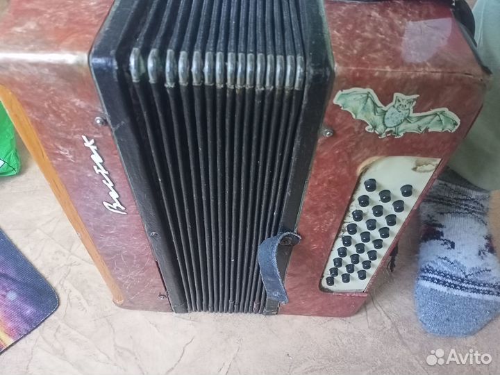 Гармонь восток