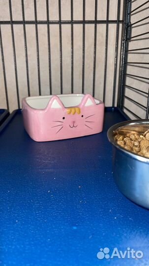 Миска для кота