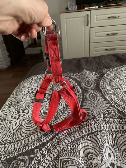 Поводок с ошейиком для собаки