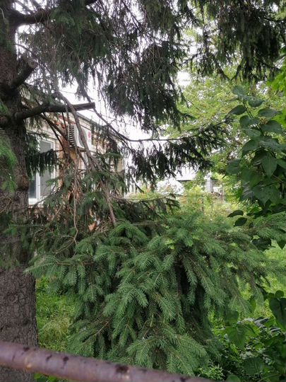 Дом 98,5 м² на участке 25 сот.