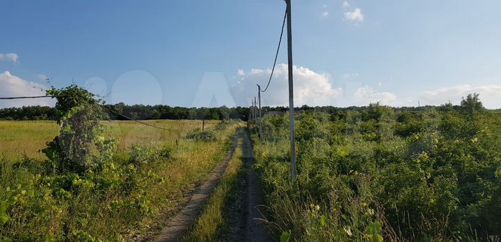 Участок 25 сот. (СНТ, ДНП)