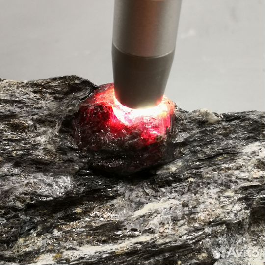 Гранат в сланце, Китель, Карелия