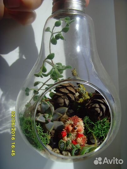 Эко-подарки, флорариумы в Туле