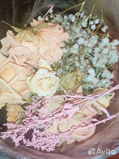 Сухоцветы и шишки