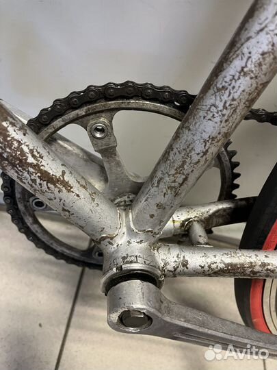 Рама фаворит