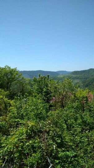 Участок 5 сот. (СНТ, ДНП)