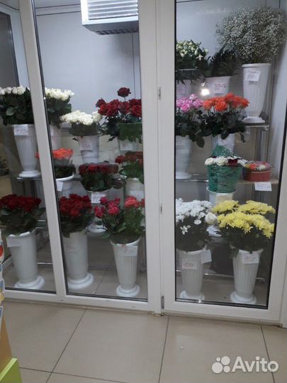 Розы оптом от 1 шт