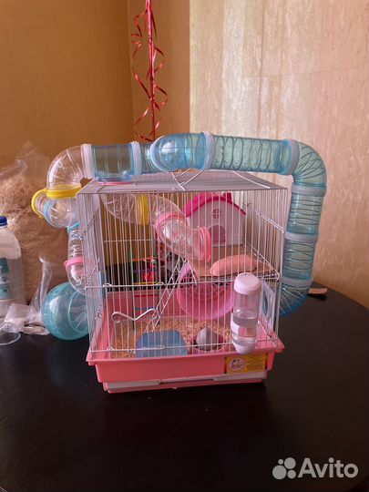 Хомяк с клеткой