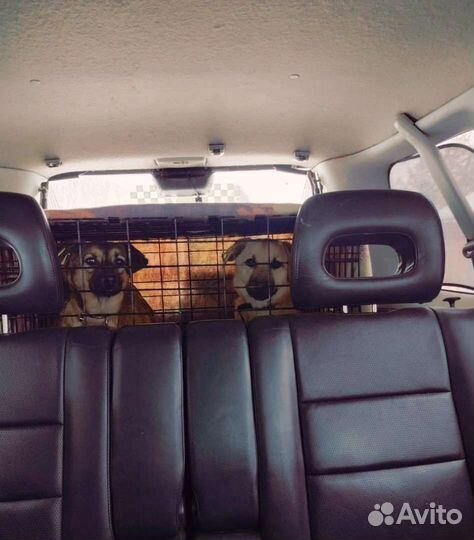 Зоотакси (перевозка животных, зооавто)