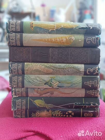 Энциклопедия Жизнь животных