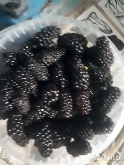 Ежевика малина ягода