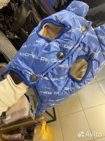 Одежда для собак