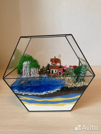 Флорариум суккуленты