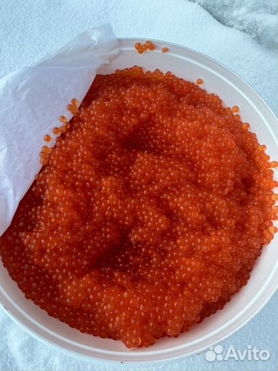 Икра форели