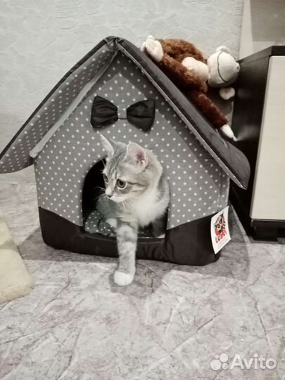 Домик для кошки