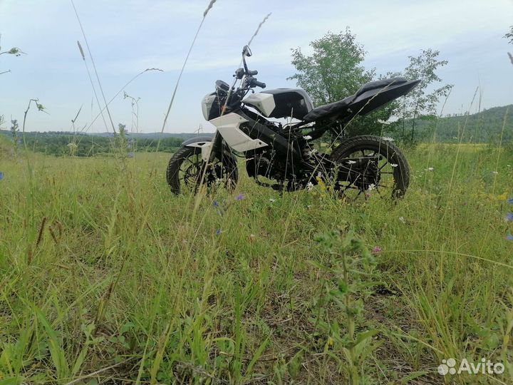 Ирбис wy250-GR
