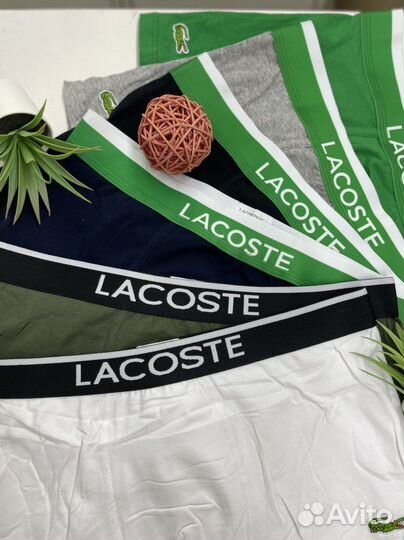 Трусы мужские боксеры Lacoste