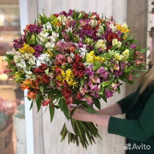 Альстромерия микс 101 шт