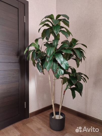 Искусственные растения в ассортименте