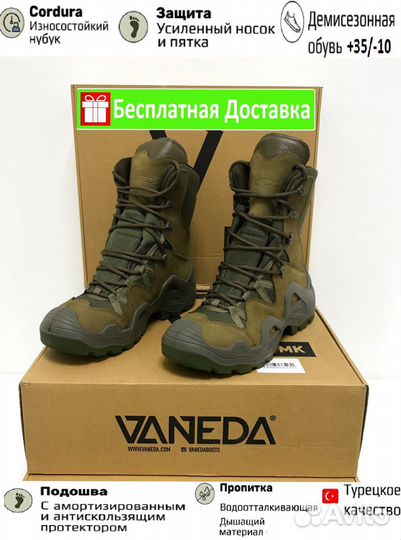 Vaneda