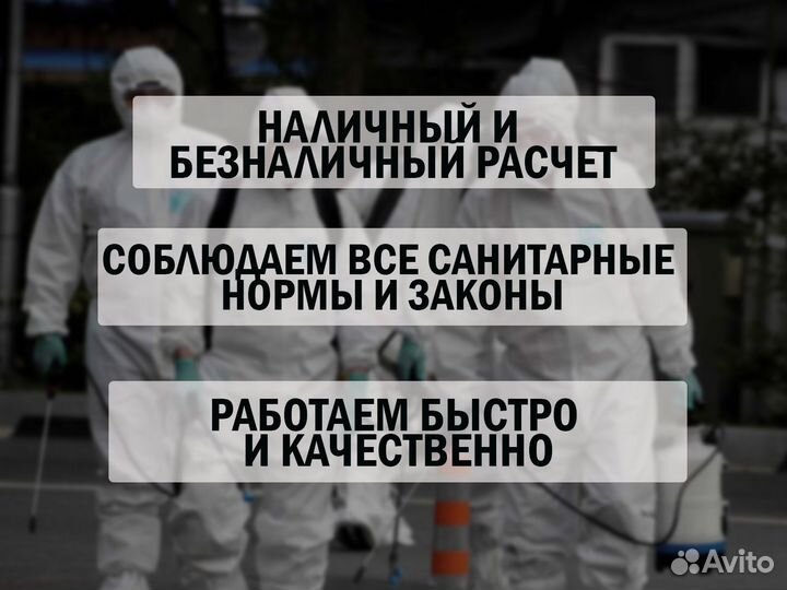 Уничтожение тараканов травить клопов обработка