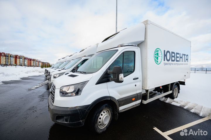 Грузчик (город Домодедово)