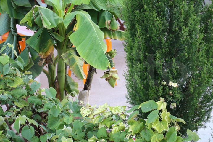 Комната 30 м² в 1-к., 2/4 эт.