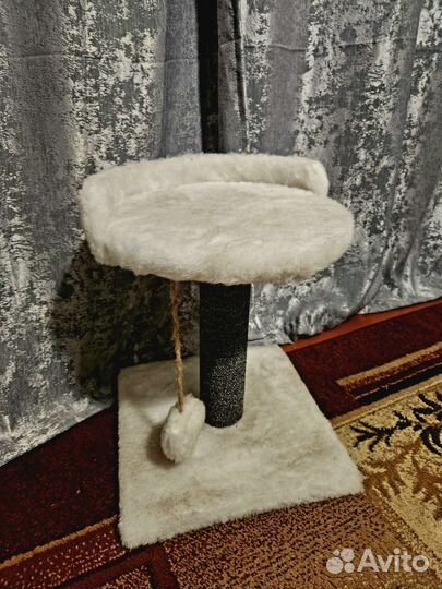 Когтеточка