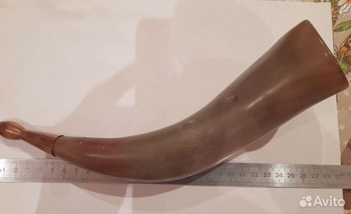 Сувенирный рог кавказский