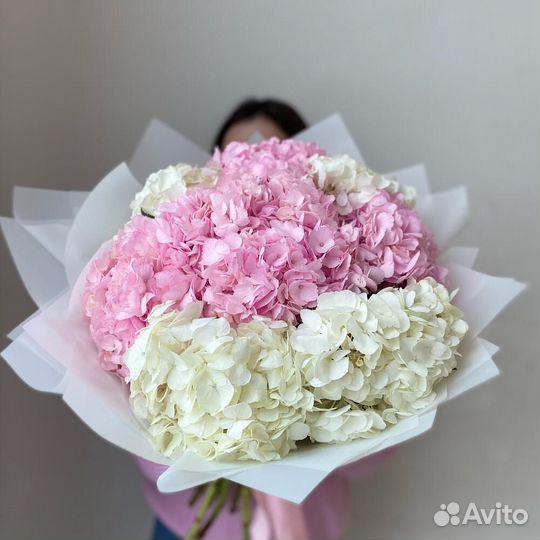Цветы Гортензии, цена от производителя