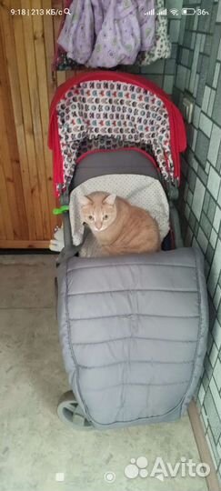 Прогулочная летняя коляска Corol S-8