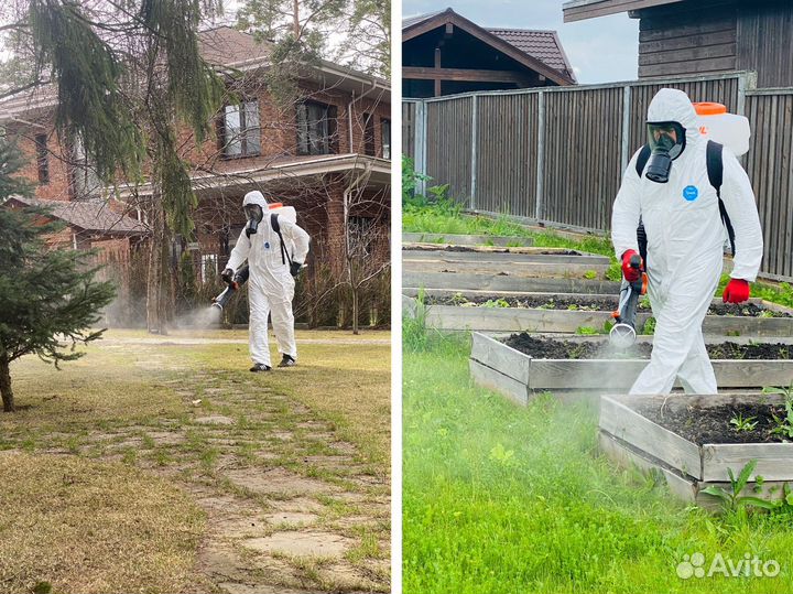 Обработка участка от клещей, кротов и мышей