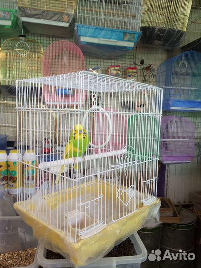 Клетки для попугая. Ц.Рынок