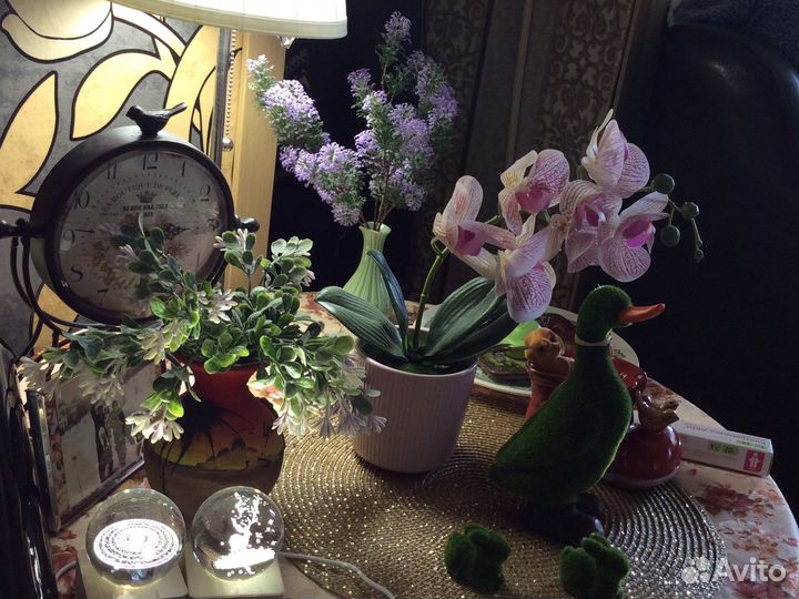 Цветок орхидея